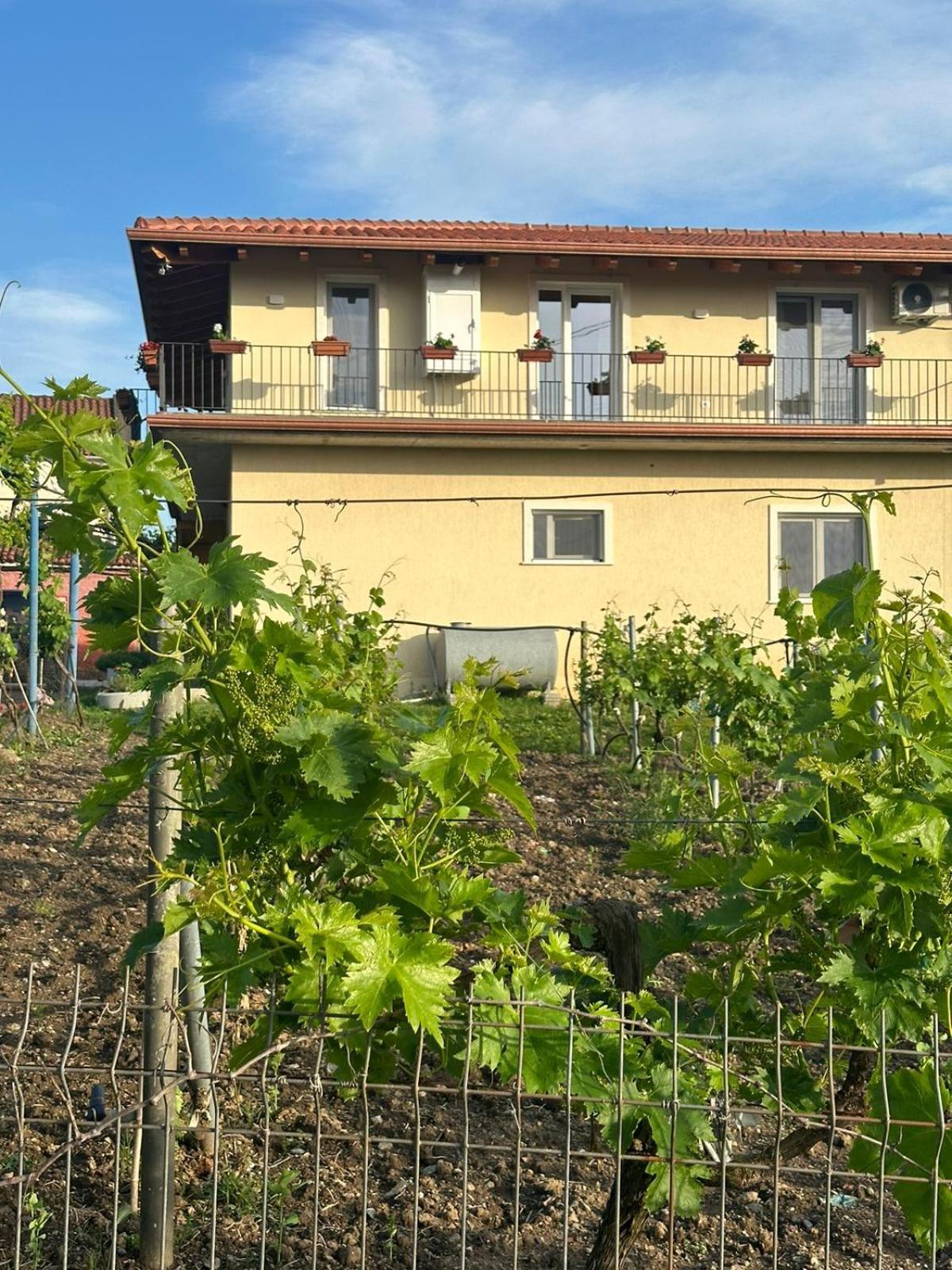 Guesthouse Marku - Mrizi I Zanave Fishte Exteriör bild